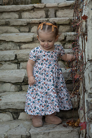 IMG-2729