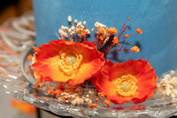 IMG-4788
