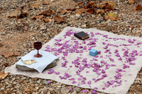 IMG-4788