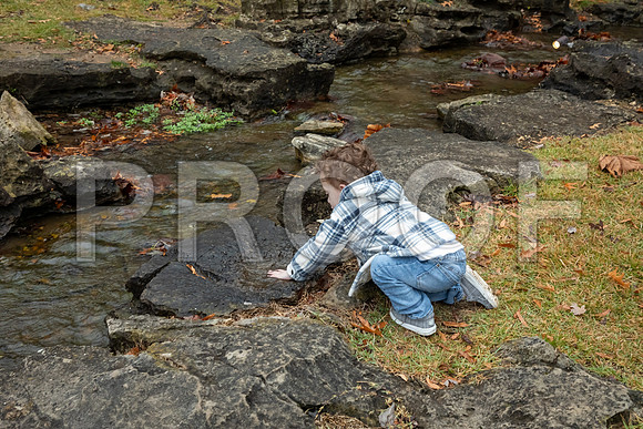 IMG-4946