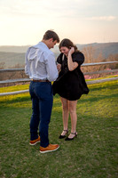 IMG-3931