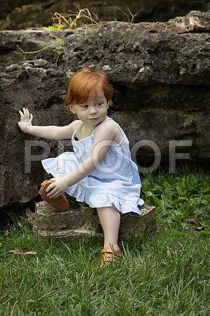 IMG_-4441