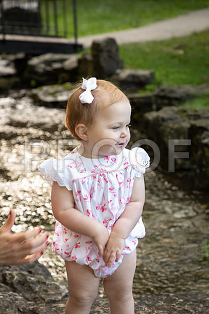 IMG_-4439