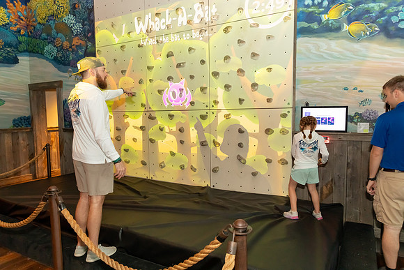 IMG_-4678
