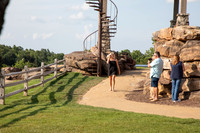 IMG_-4744