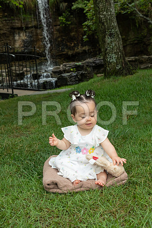 IMG_-6681