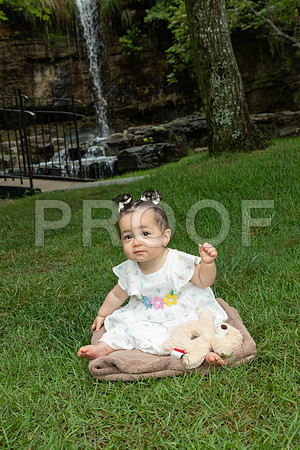 IMG_-6684