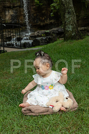 IMG_-6686