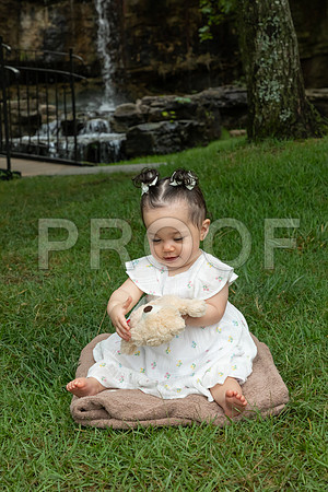 IMG_-6700