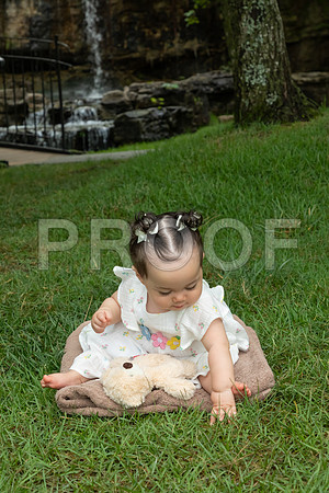 IMG_-6707