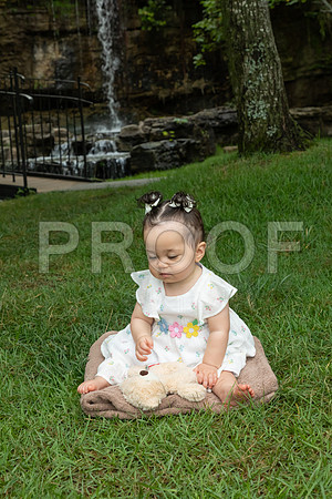 IMG_-6708