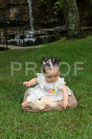 IMG_-6709