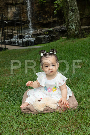IMG_-6710