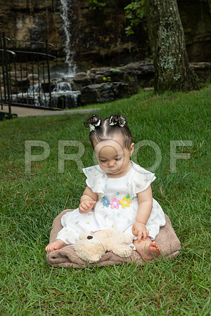IMG_-6711