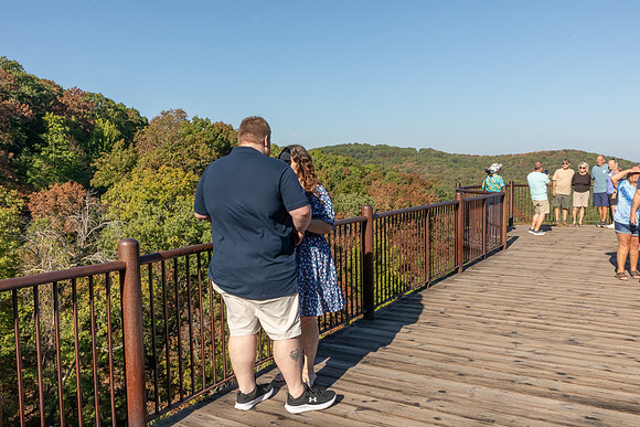 IMG_-7018