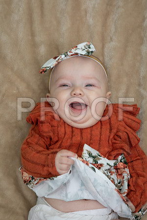 IMG_-7231