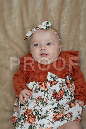 IMG_-7229