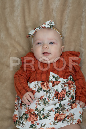 IMG_-7230