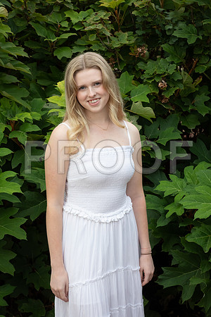 IMG_-7035