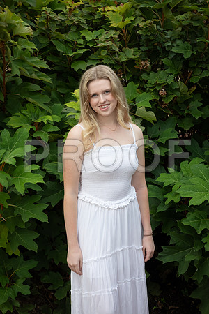 IMG_-7036