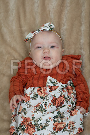 IMG_-7228