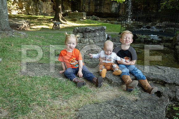 IMG_-7066
