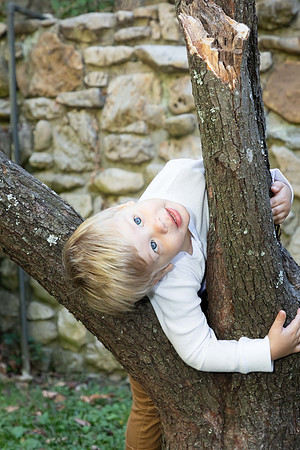 IMG-2638