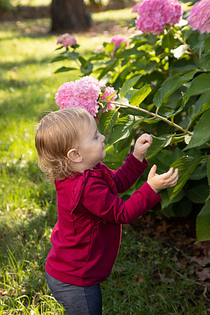 IMG-1087