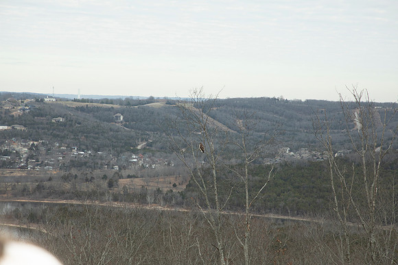 KYL_1414