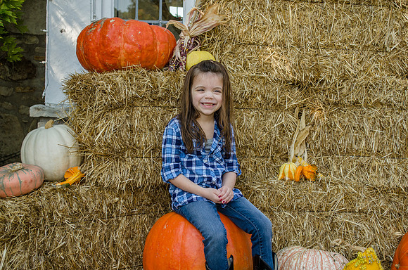 _DSC0465