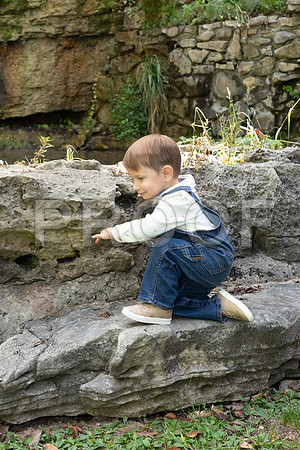 IMG-2646
