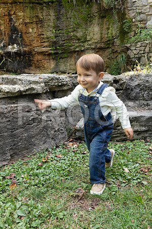 IMG-2650