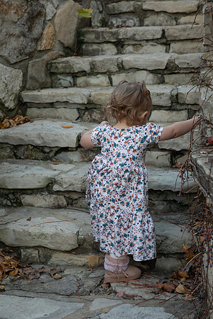 IMG-2722