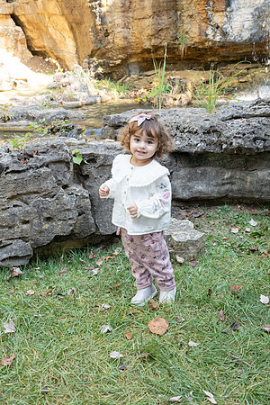 IMG-2641