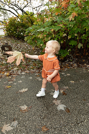 IMG-2799