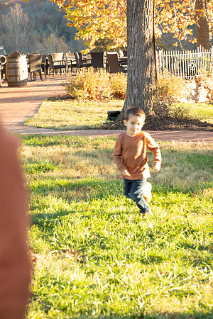 IMG-2691